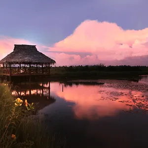 Coconut Lagoon - A Cgh Earth Experience India